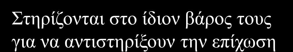 Τοίχοι Αντιστήριξης Βαρύτητας Τσιμέντοκονίαμα Κροκάλες Άοπλο σκυρόδεμα ή