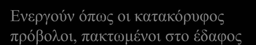 Τοίχοι Αντιστήριξης Προβόλων Ωπλισμένος, μικρότερης διατομής από τοίχο