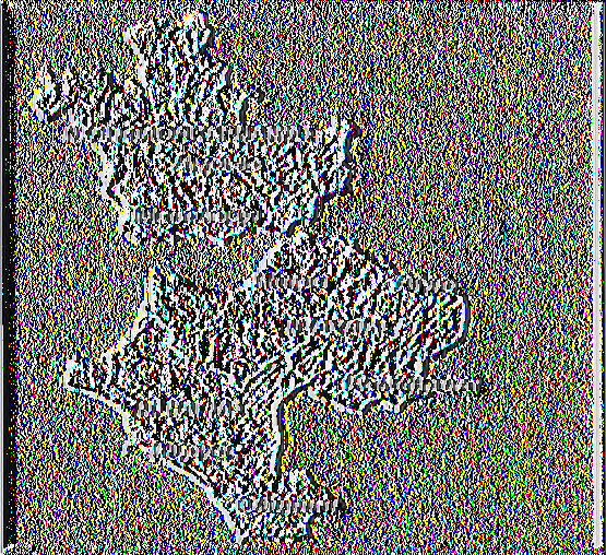 Α.Τ.Ε.Ι.