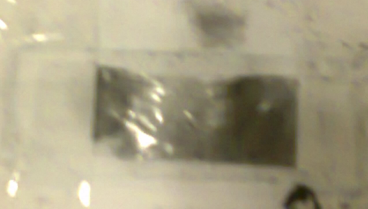 πλακίδια µικροσκοπίου (25mm x 75mm και πάχους 1-1,2mm) (Εικόνα 4-2).