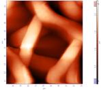 Εικόνα 10(β): Ικριώματα Πολυκαπρολακτόνης με AgNPs Από τη Σαρωτική Μικροσκοπία Ατομικών Δυνάμεων (AFM), λαμβάνεται η μορφολογική και τοπογραφική χαρτογράφηση της επιφάνειας, από τις υψηλής ανάλυσης