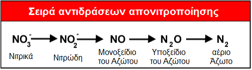 Η κύρια διαδικασία απομάκρυνσης των νιτρικών είναι η αναγωγή τους, σύμφωνα με την αντίδραση: 2ΝΟ 3 - + 12Η + + 10e- Ν2 + 6Η2Ο.