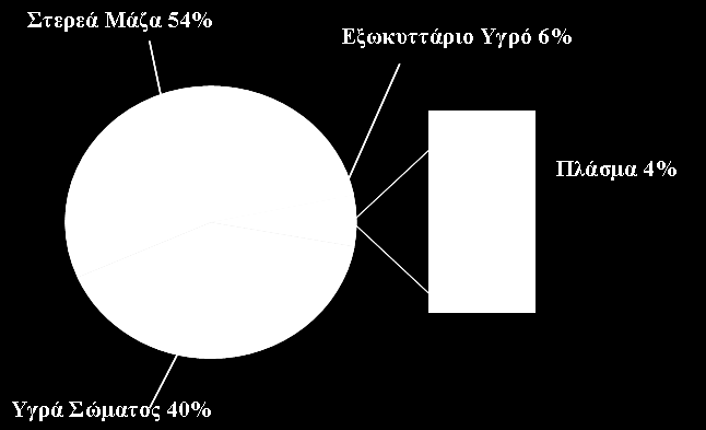 11 ν Κεθάιαην - Αηκνξξαγία Καπδιά Η ιεηηνπξγία ηεο θαξδηάο, έρεη ζηφρν, λα αληιεί ην αίκα θαη λα πξνκεζεχεη νμπγφλν θαη ζξεπηηθά ζπζηαηηθά ζε φια ηα θχηηαξα ηνπ ζψκαηνο.