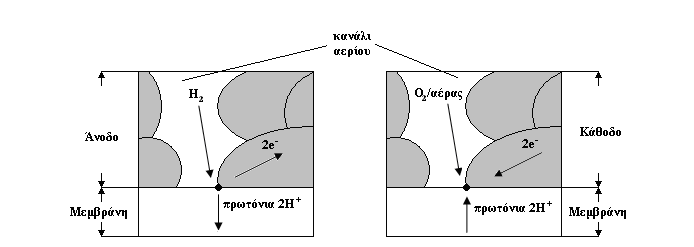 Σχήµα 2.16 οµή του πολυµερούς Nafion (C 7 HF 13 O 5 S C 2 F 4 ) Από το σχήµα µπορούµε να διακρίνουµε τρεις περιοχές.