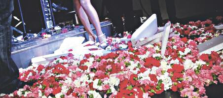 #louloudopolemos_karfitsa Τι συμβαίνει στα νυχτερινά μαγαζιά Τα «λουλούδια στα μπουζούκια», ως επί το πλείστον τα γαρύφαλλα, είναι ένα από τα λίγα προϊόντα που τα νυχτερινά κέντρα δεν μπορούν να