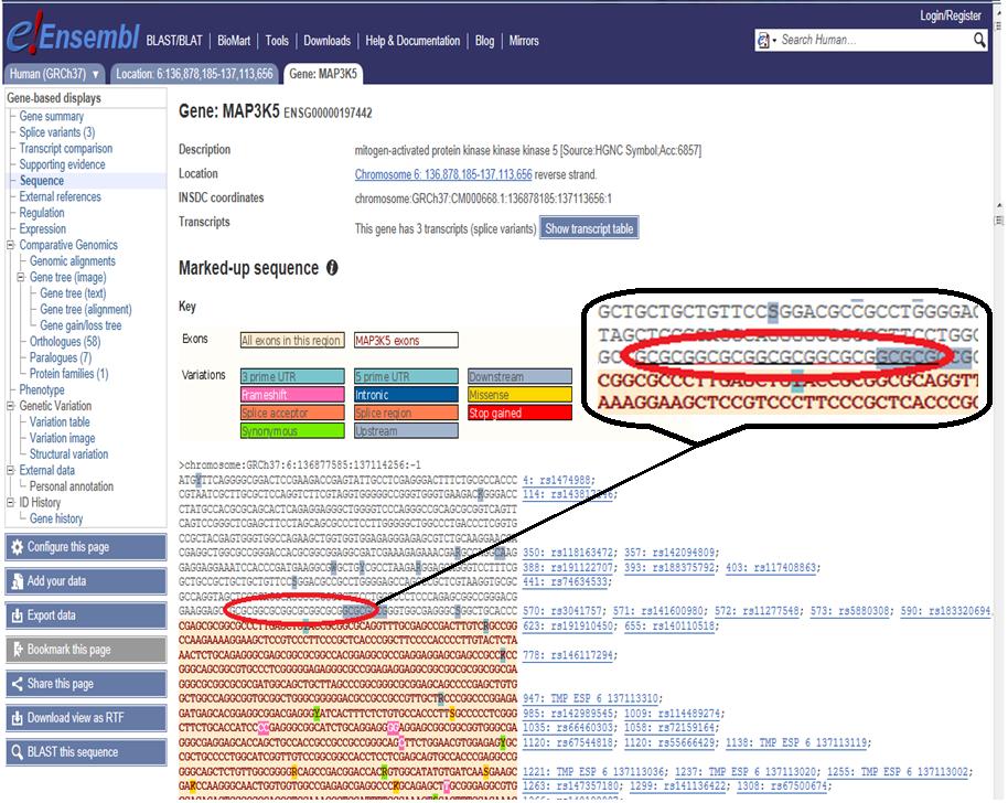 Εικόνα 3.2: Βάση δεδομένων Ensembl. Εντός του κόκκινου κύκλου βρίσκεται το STR του υποκινητή του γονιδίου MAP3K5 (http://www.