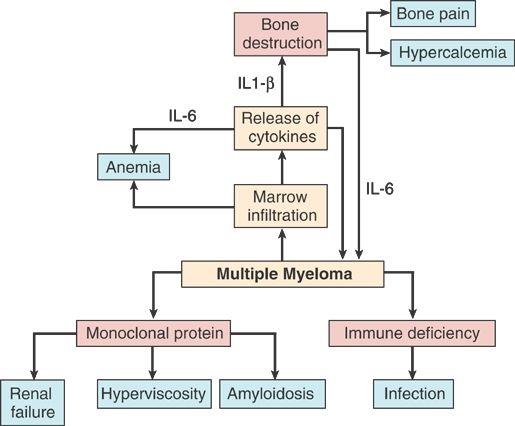 Πολυδιάστατη θεραπεία πολλαπλού μυελώματος Οστεοσύνθεση Σπονδυλοδεσία Κυφοπλαστική Ακτινοθεραπεία anti IL-6 Διφωσφωνικά Αντι-DKK1 Αντι-RANK-Ligand Καλσιτονίνη Βιταμίνη D Αναλγητικά Epo Μεταγγίσεις