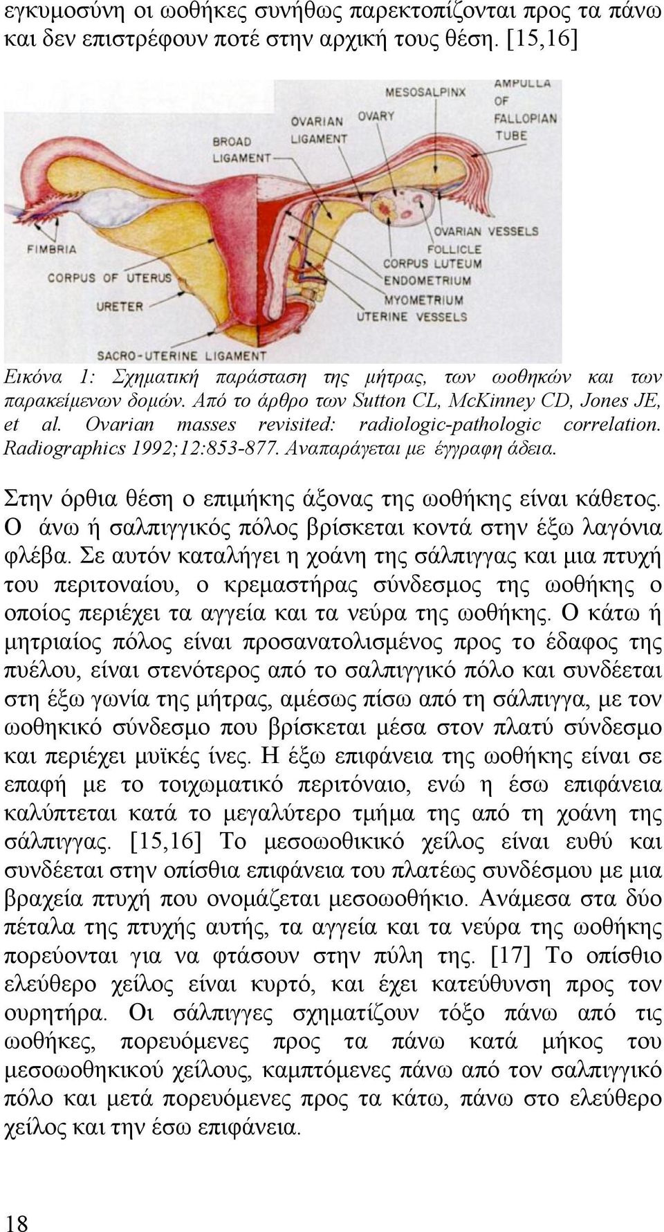 Στην όρθια θέση ο επιµήκης άξονας της ωοθήκης είναι κάθετος. Ο άνω ή σαλπιγγικός πόλος βρίσκεται κοντά στην έξω λαγόνια φλέβα.