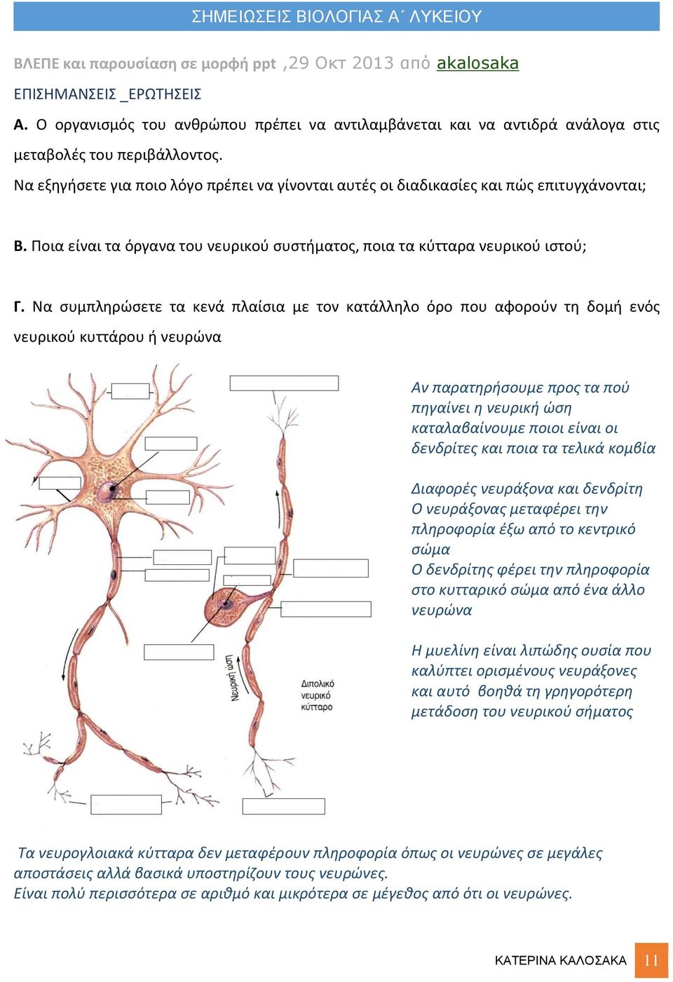 Να συμπληρώσετε τα κενά πλαίσια με τον κατάλληλο όρο που αφορούν τη δομή ενός νευρικού κυττάρου ή νευρώνα Αν παρατηρήσουμε προς τα πού πηγαίνει η νευρική ώση καταλαβαίνουμε ποιοι είναι οι δενδρίτες