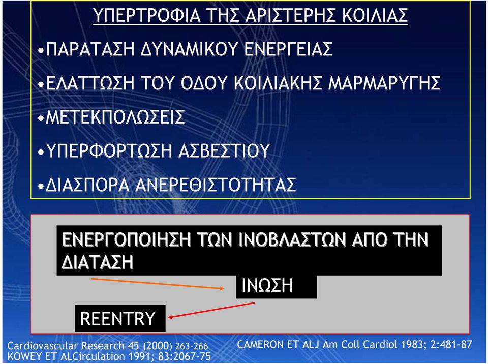 ΕΝΕΡΓΟΠΟΙΗΣΗ ΤΩΝ ΙΝΟΒΛΑΣΤΩΝ ΑΠΟ ΤΗΝ ΔΙΑΤΑΣΗ ΙΝΩΣΗ REENTRY Cardiovascular Research 45