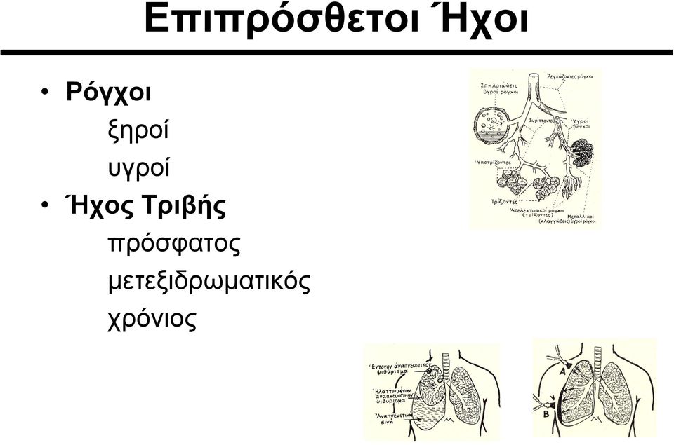 Ήχος Τριβής