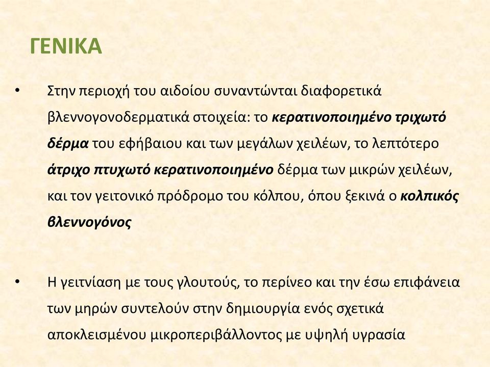 και τον γειτονικό πρόδρομο του κόλπου, όπου ξεκινά ο κολπικός βλεννογόνος Η γειτνίαση με τους γλουτούς, το περίνεο