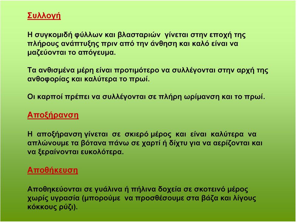 Οι καρποί πρέπει να συλλέγονται σε πλήρη ωρίμανση και το πρωί.