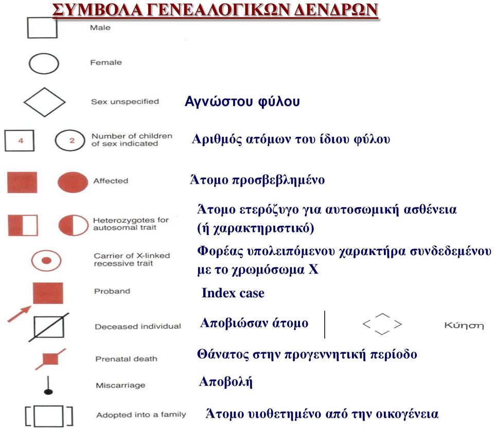 το χρωμόσωμα Χ Index case Αποβιώσαν άτομο Θάνατος στην προγεννητική περίοδο Αποβολή Αυθόρμητη