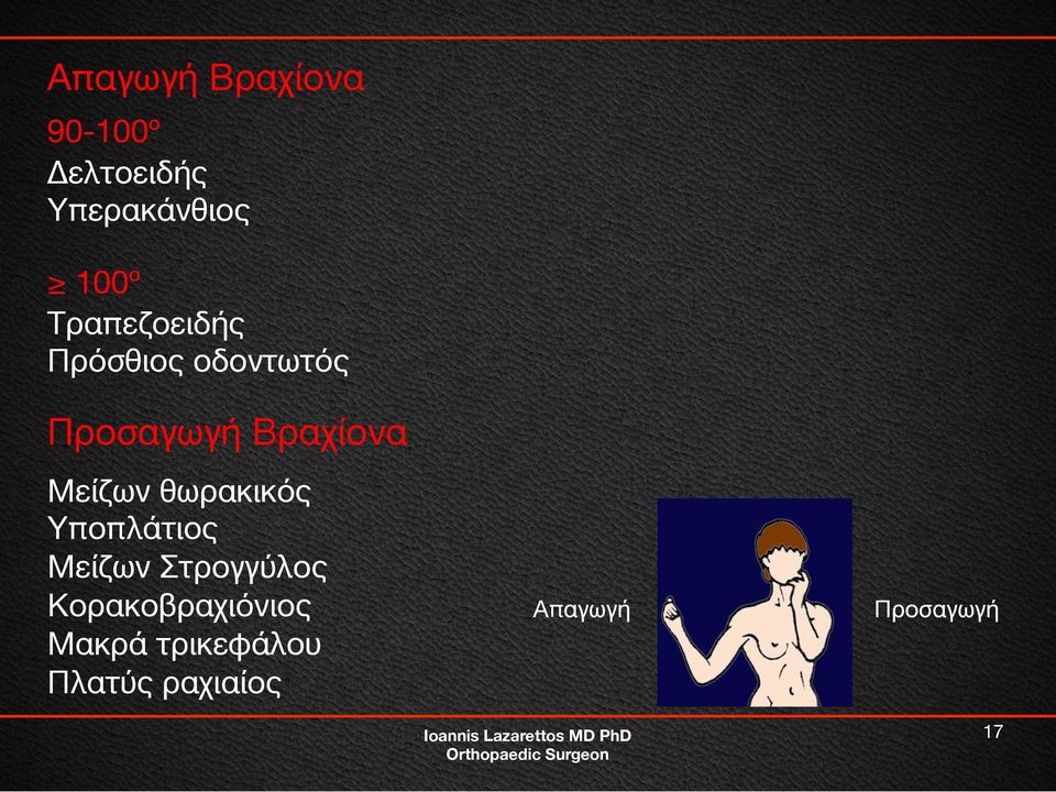 Μείζων θωρακικός Υποπλάτιος Μείζων Στρογγύλος