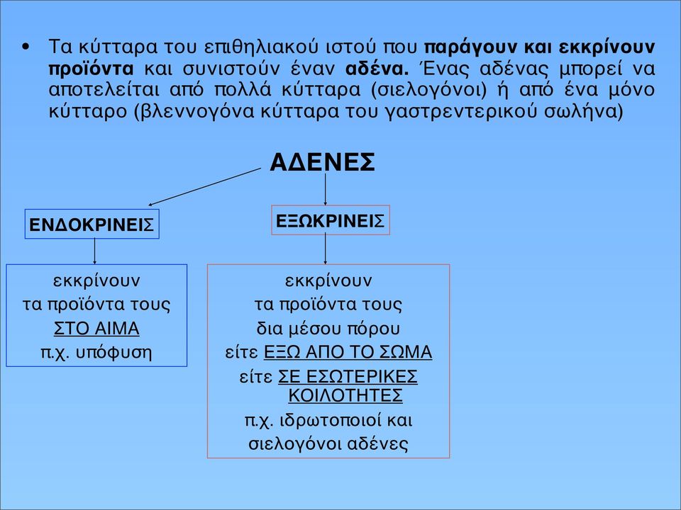 του γαστρεντερικού σωλήνα) ΑΔΕΝΕΣ ΕΝΔΟΚΡΙΝΕΙΣ ΕΞΩΚΡΙΝΕΙΣ εκκρίνουν τα προϊόντα τους ΣΤΟ ΑΙΜΑ π.χ.