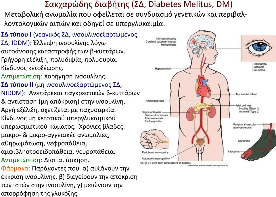 Αντιμετώπιση: Χορήγηση ινσουλίνης. ΣΔ τύπου ΙΙ (μη ινσουλινοεξαρτώμενος ΣΔ, ΝIDDM): Ανεπάρκεια παγκρεατικών β-κυττάρων & αντίσταση (μη απόκριση) στην ινσουλίνη. Αργή εξέλιξη, σχετίζεται με παχυσαρκία.