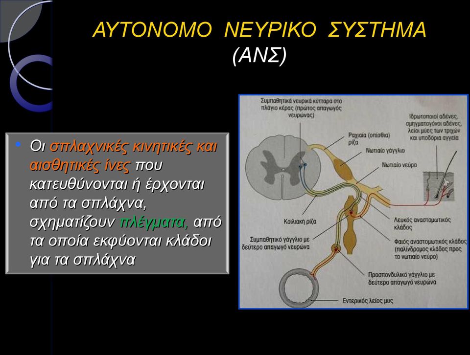 κατευθύνονται ή έρχονται από τα σπλάχνα,