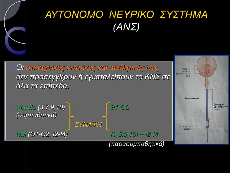 όλα τα επίπεδα.