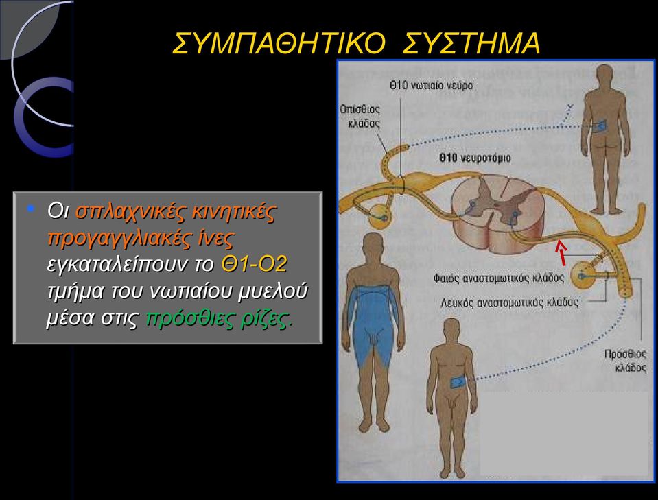 εγκαταλείπουν το Θ1-Ο2 τμήμα του