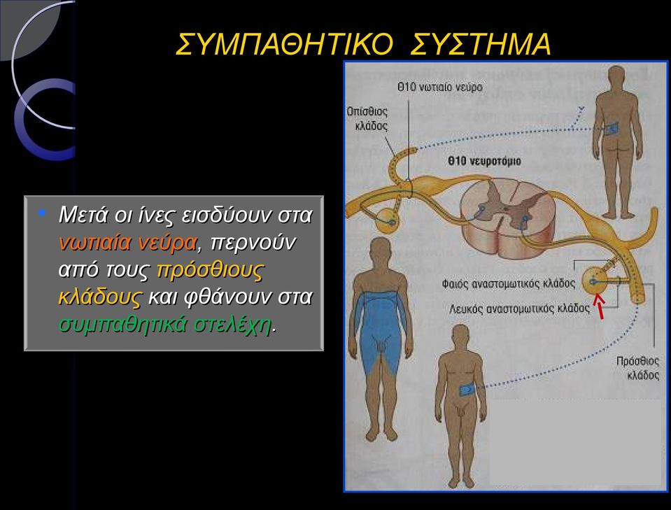 περνούν από τους πρόσθιους