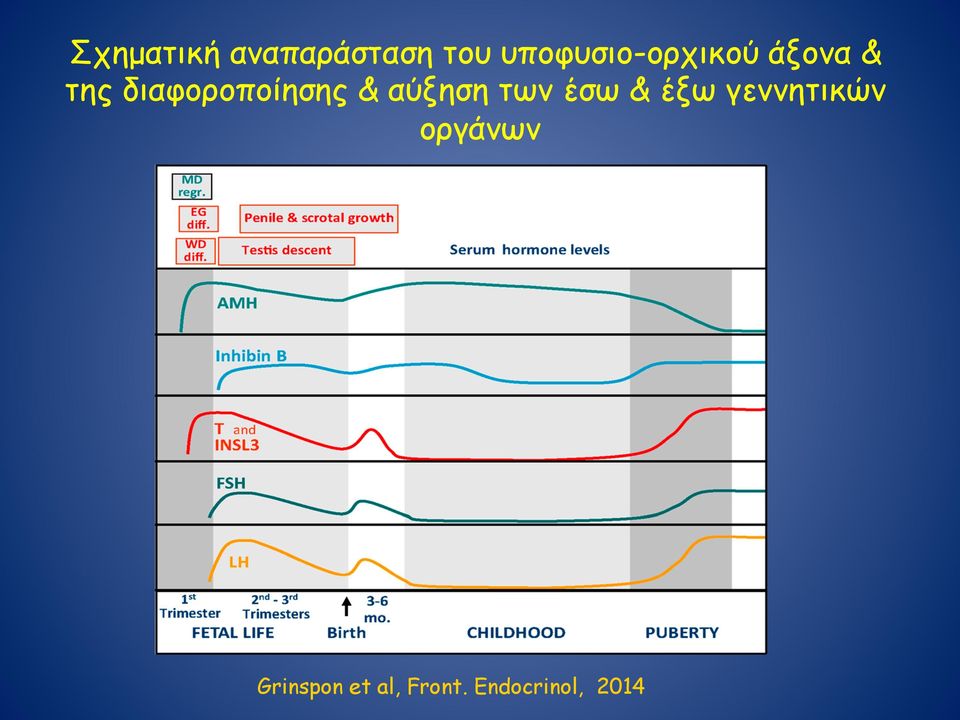 διαφοροποίησης & αύξηση των έσω & έξω