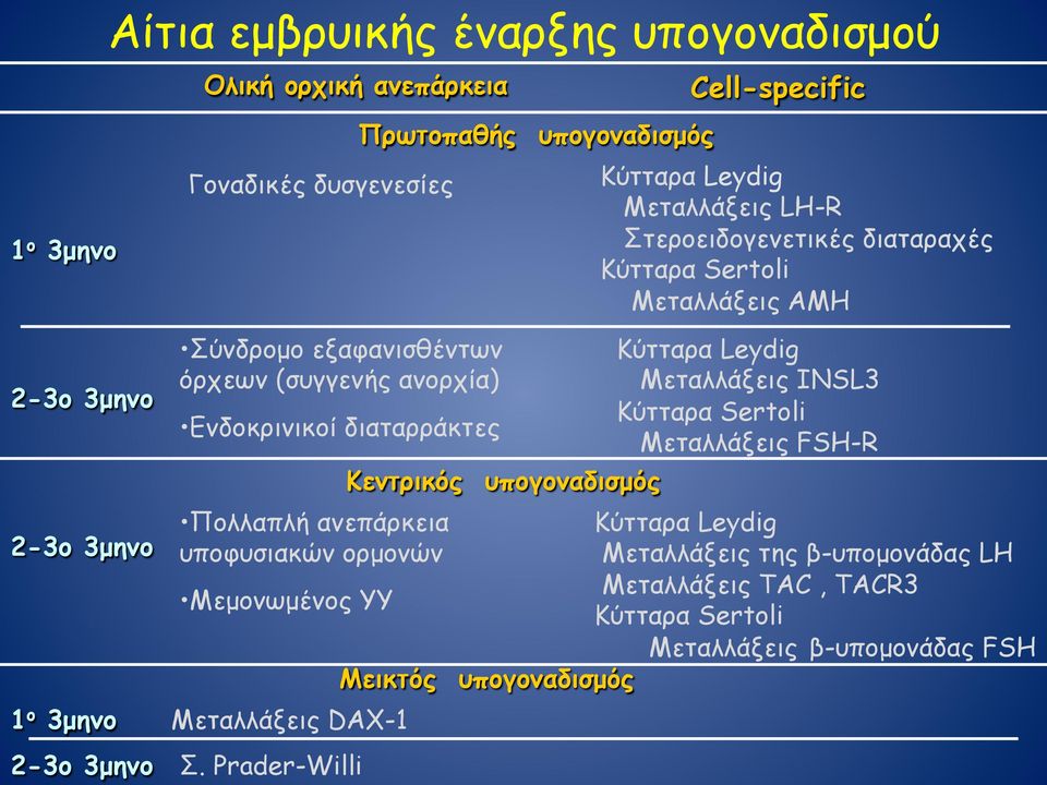 Κεντρικός υπογοναδισµός Κύτταρα Leydig Μεταλλάξεις INSL3 Κύτταρα Sertoli Μεταλλάξεις FSH-R Πολλαπλή ανεπάρκεια Κύτταρα Leydig υποφυσιακών ορµονών Μεταλλάξεις της