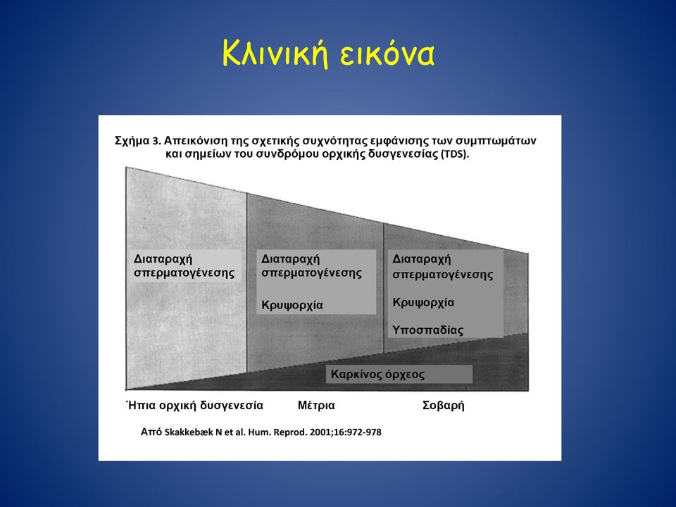 ορχικής δυσγενεσίας (TDS).