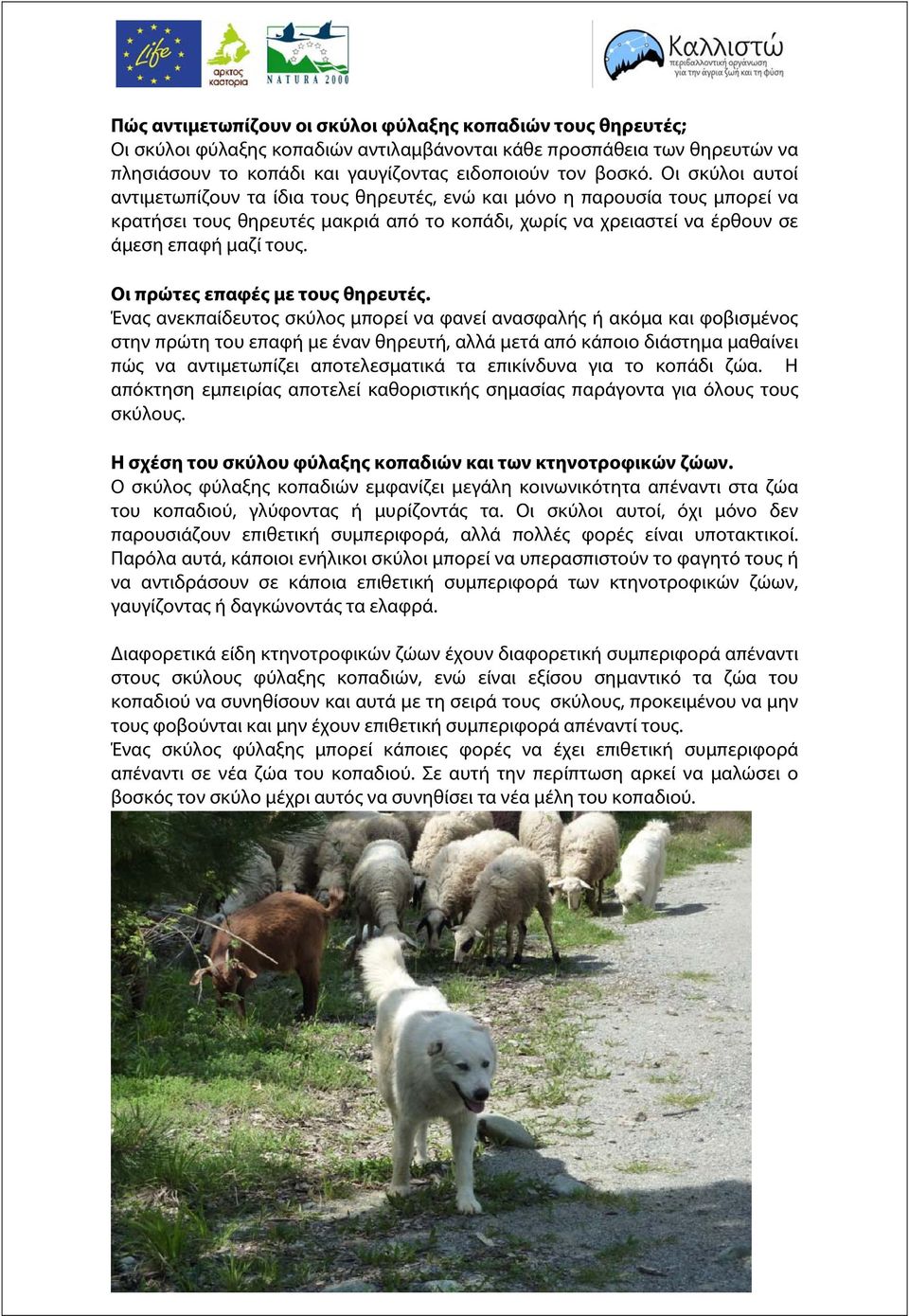 Οι πρώτες επαφές με τους θηρευτές.