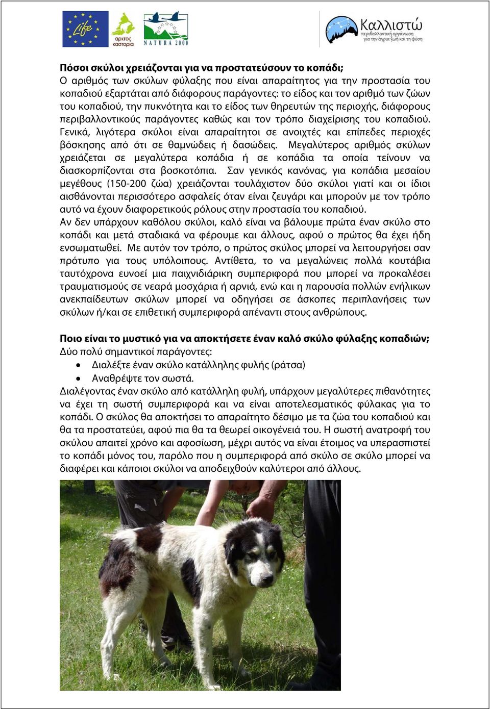 Γενικά, λιγότερα σκύλοι είναι απαραίτητοι σε ανοιχτές και επίπεδες περιοχές βόσκησης από ότι σε θαμνώδεις ή δασώδεις.