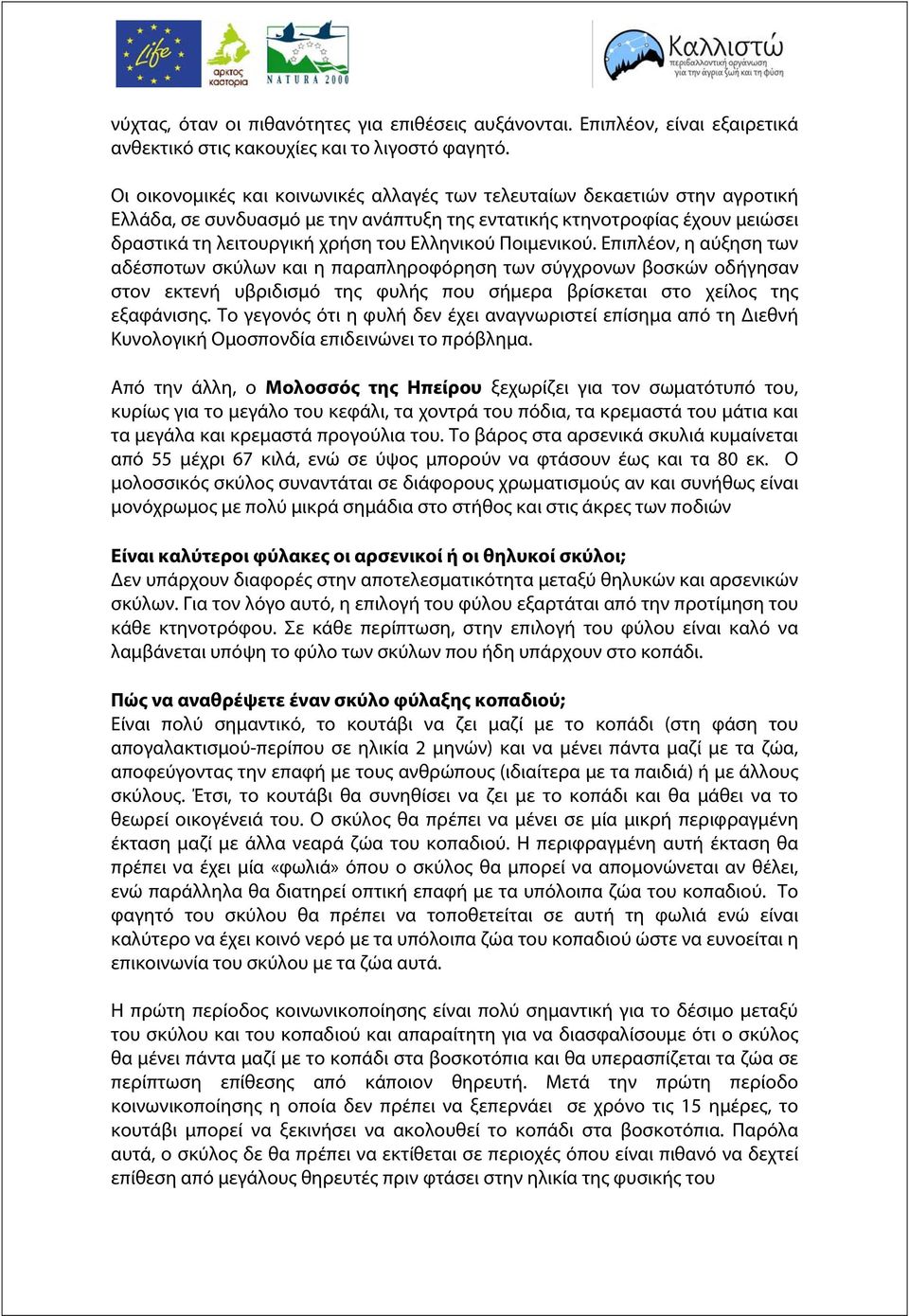 Ποιμενικού. Επιπλέον, η αύξηση των αδέσποτων σκύλων και η παραπληροφόρηση των σύγχρονων βοσκών οδήγησαν στον εκτενή υβριδισμό της φυλής που σήμερα βρίσκεται στο χείλος της εξαφάνισης.