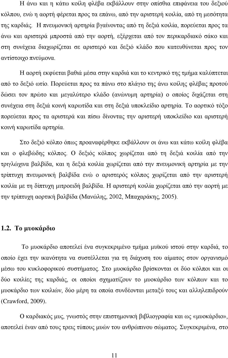 κλάδο που κατευθύνεται προς τον αντίστοιχο πνεύμονα. Η αορτή εκφύεται βαθιά μέσα στην καρδιά και το κεντρικό της τμήμα καλύπτεται από το δεξιό ωτίο.