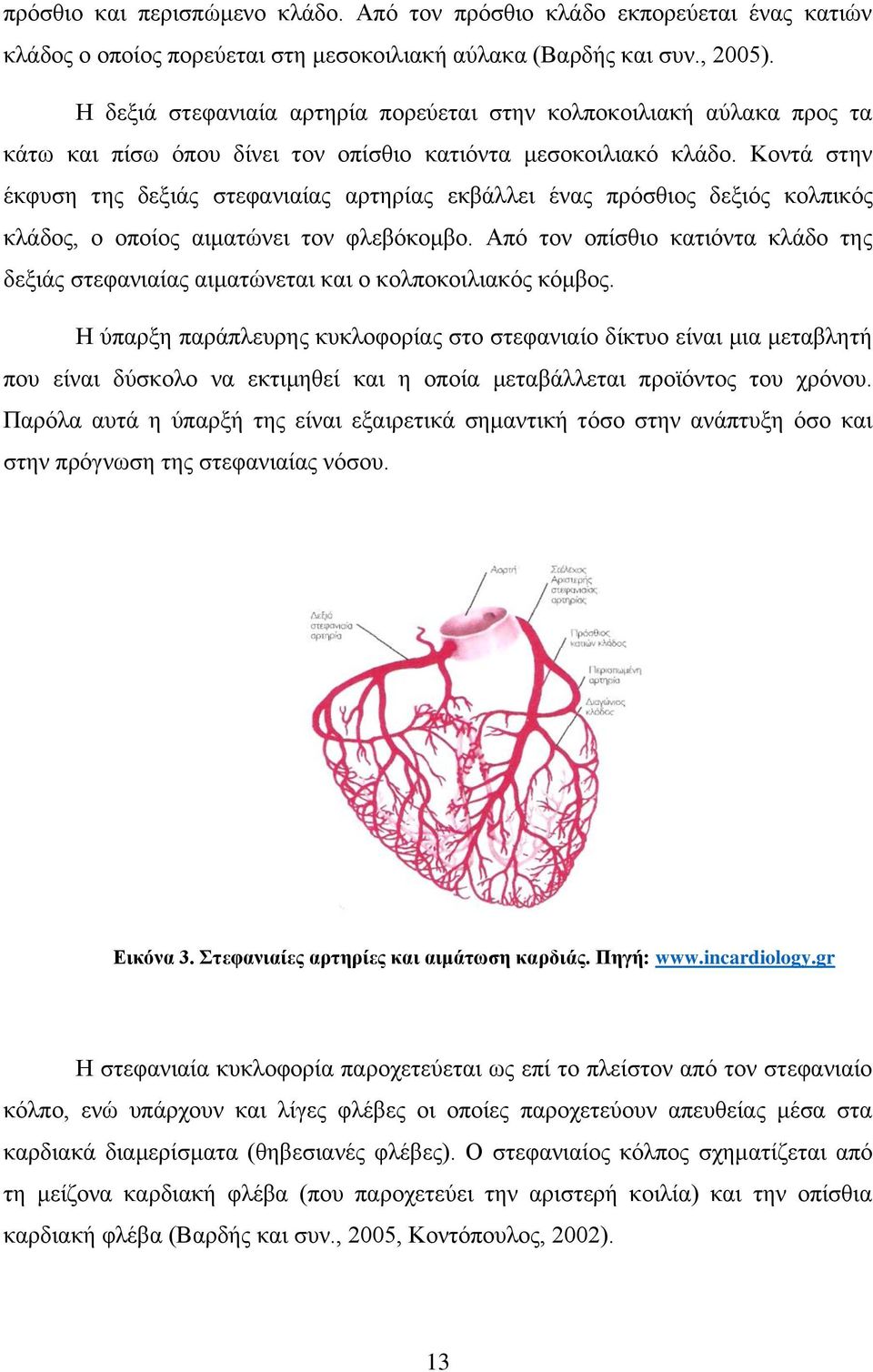 Κοντά στην έκφυση της δεξιάς στεφανιαίας αρτηρίας εκβάλλει ένας πρόσθιος δεξιός κολπικός κλάδος, ο οποίος αιματώνει τον φλεβόκομβο.