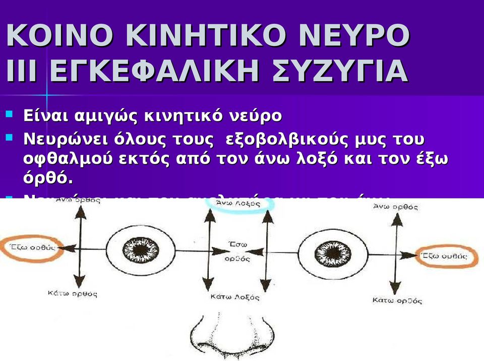 εξοβολβικούς μυς του οφθαλμού εκτός από τον άνω λοξό