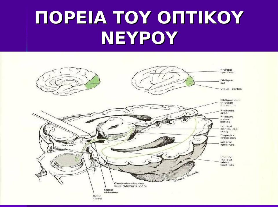 ΟΠΤΙΚΟΥ