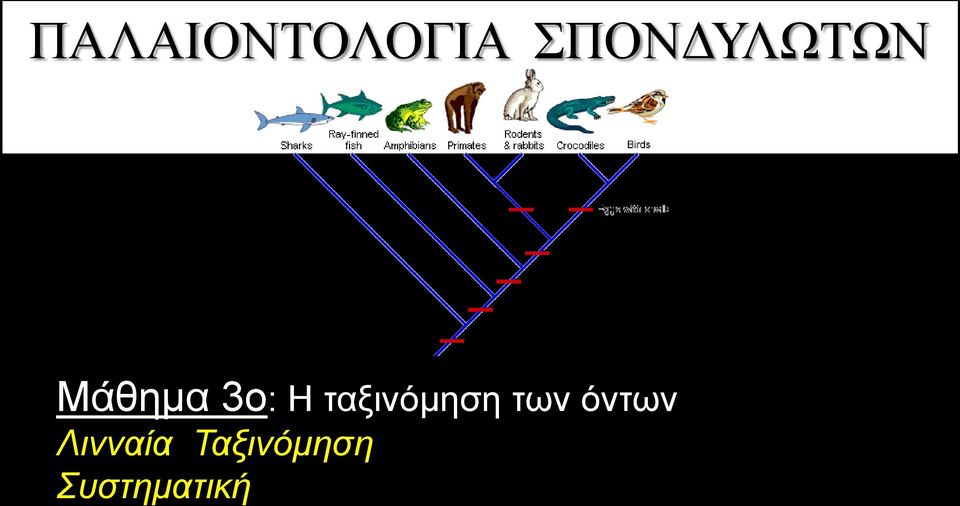 Η ταξινόμηση των όντων