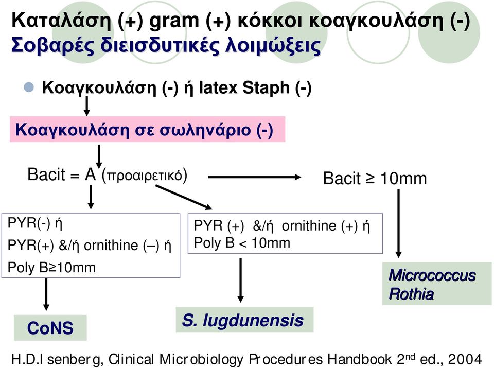 PYR(+) &/ή ornithine ( ) ή Poly B 10mm CoNS PYR (+) &/ή ornithine (+) ή Poly B < 10mm S.