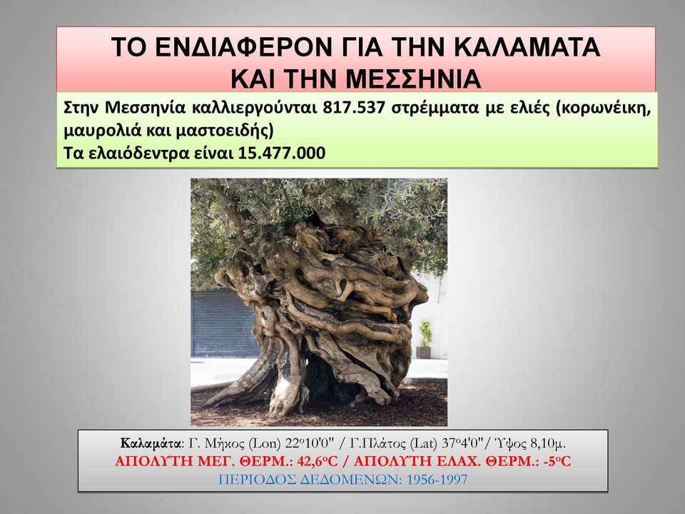 477.000 Καλαμάτα: Γ. Μήκος (Lon) 22 ο 10'0" / Γ.Πλάτος (Lat) 37 ο 4'0"/ Ύψος 8,10μ.