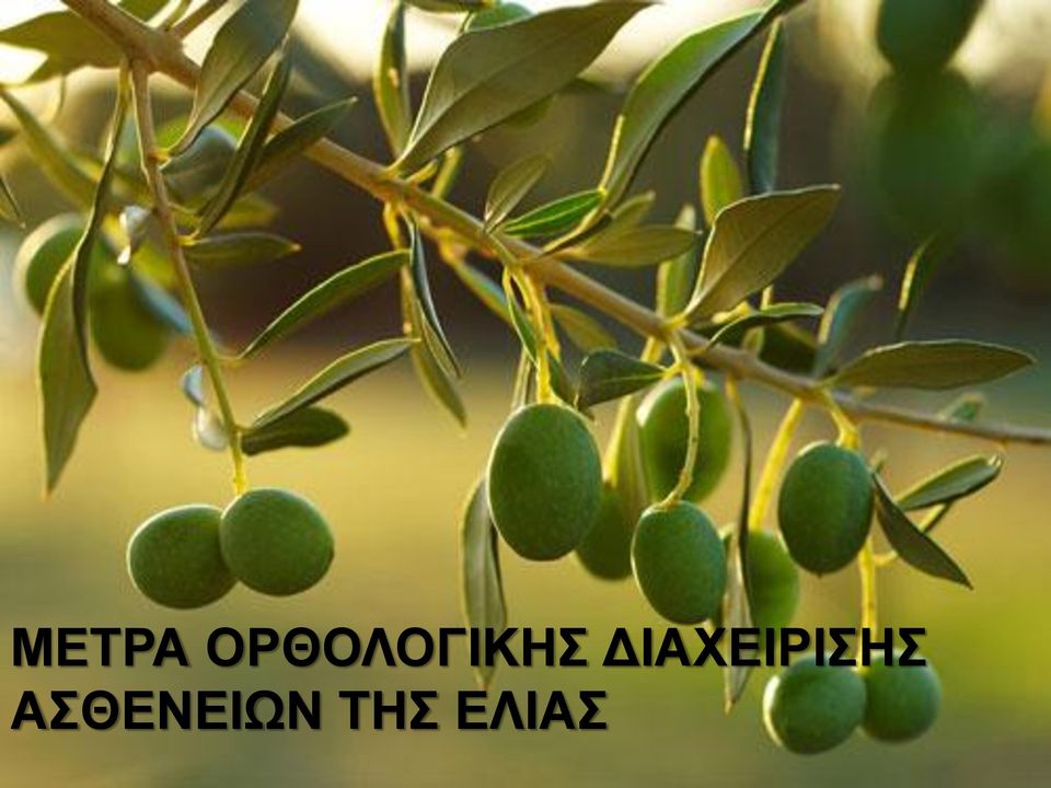 ΔΙΑΧΕΙΡΙΣΗΣ