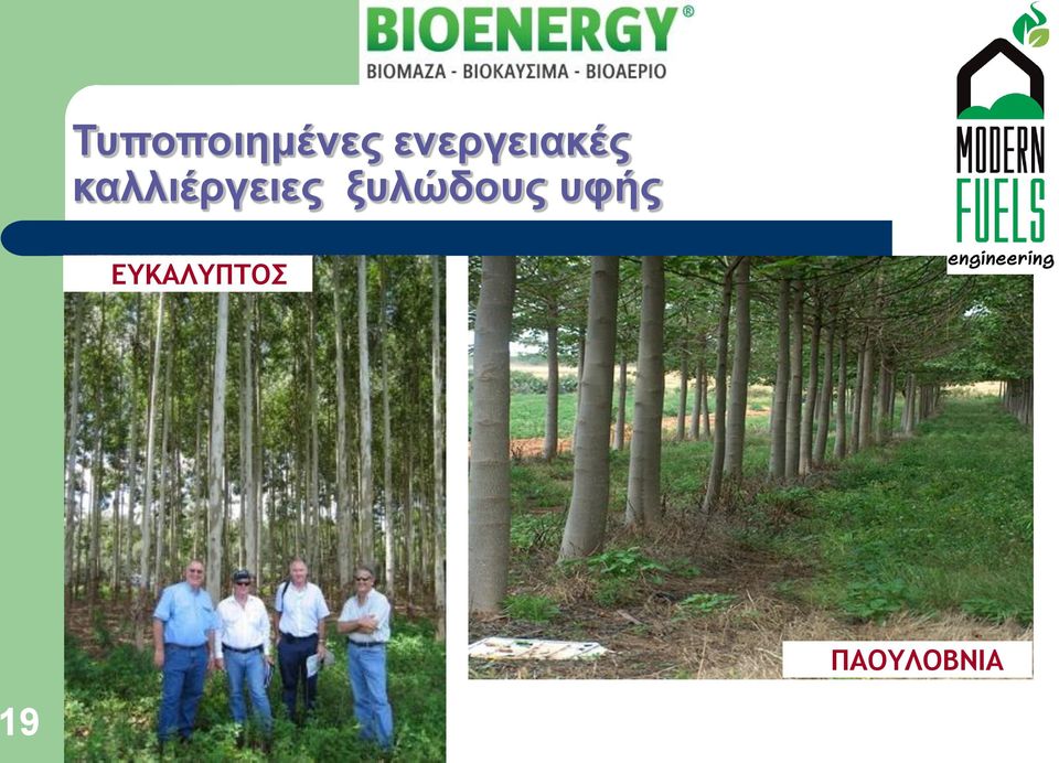 καλλιέργειες
