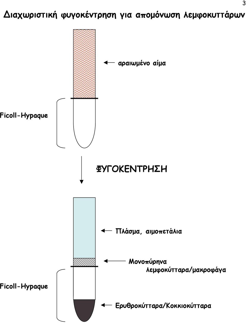 ΦΥΓΟΚΕΝΤΡΗΣΗ Πλάσµα, αιµοπετάλια Ficoll-Hypaque
