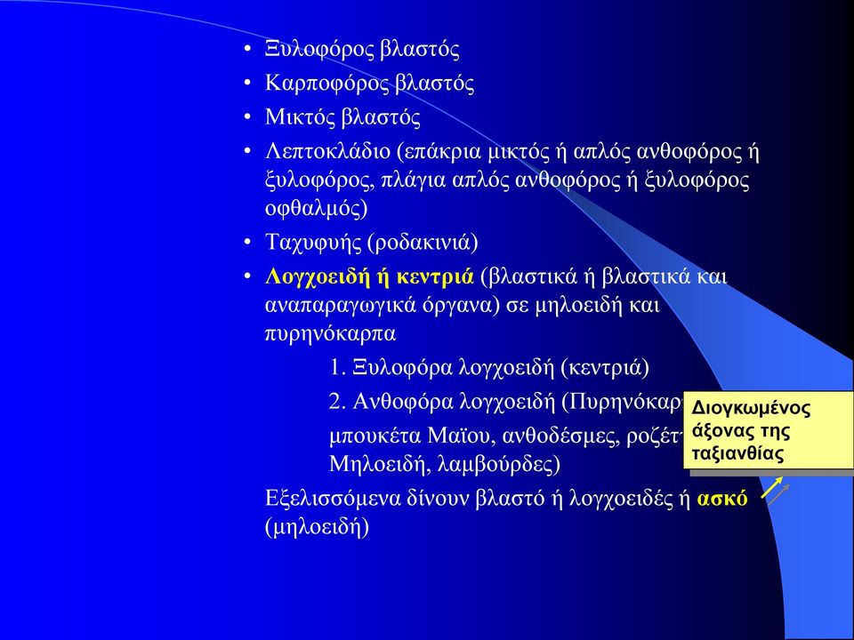 όργανα) σε μηλοειδή και πυρηνόκαρπα 1. Ξυλοφόρα λογχοειδή (κεντριά) 2.