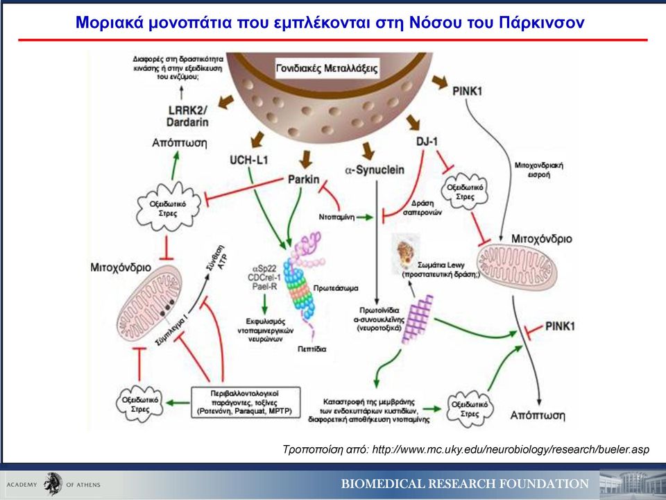 Πάρκινσον Τροποποίση από: