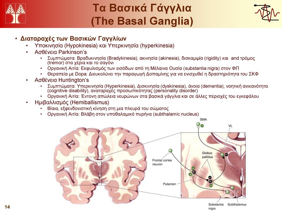 την παραγωγή Δοπαμίνης για να ενισχυθεί η δραστηριότητα του ΣΚΦ Ασθένεια Huntington s Συμπτώματα: Υπερκινησία (Hyperkinesia), Δισκινησία (dyskinesia), άνοια (dementia), νοητική ανικανότητα (cognitive