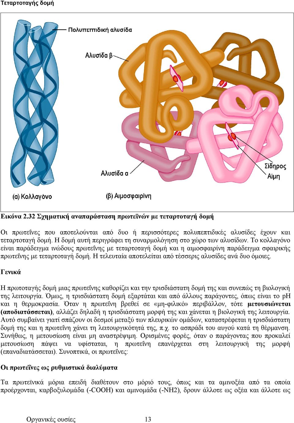 Το κολλαγόνο είναι παράδειγμα ινώδους πρωτεΐνης με τεταρτοταγή δομή και η αιμοσφαιρίνη παράδειγμα σφαιρικής πρωτεΐνης με τεταρτοταγή δομή. Η τελευταία αποτελείται από τέσσερις αλυσίδες ανά δυο όμοιες.
