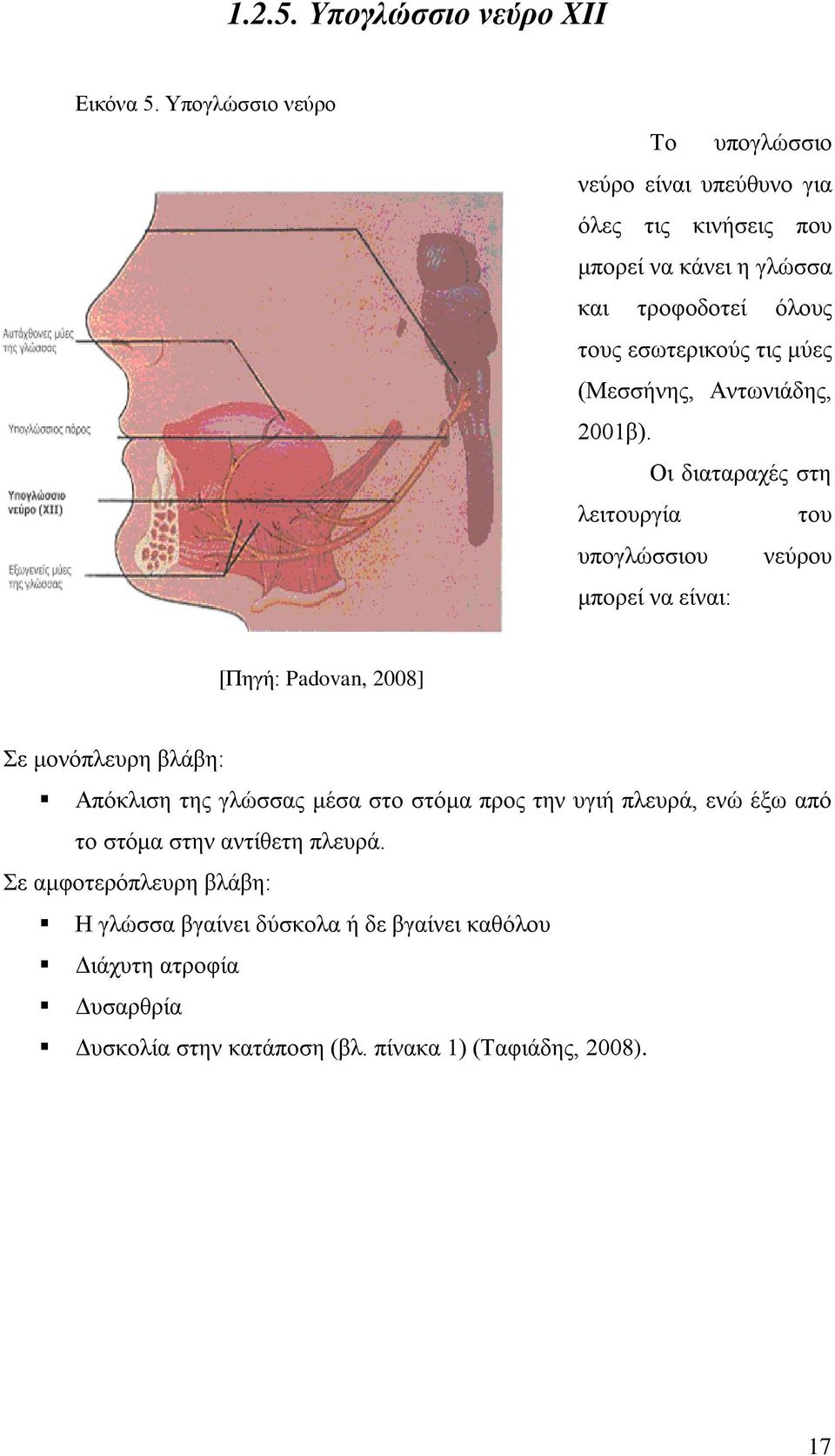 μύες (Μεσσήνης, Αντωνιάδης, 2001β).