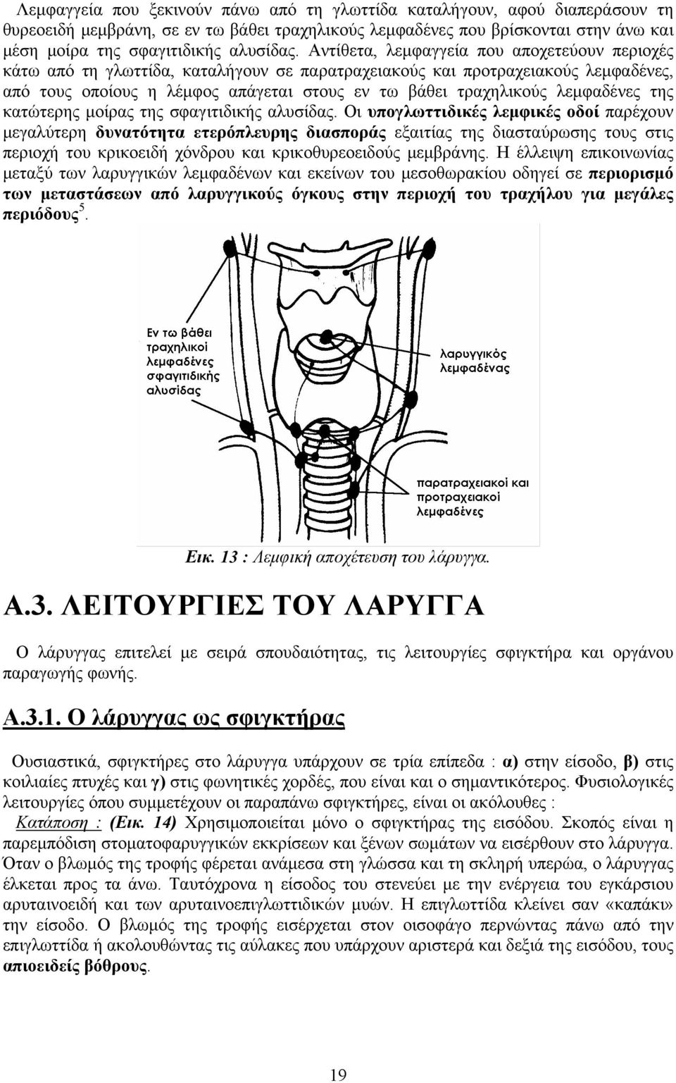 λεμφαδένες της κατώτερης μοίρας της σφαγιτιδικής αλυσίδας.