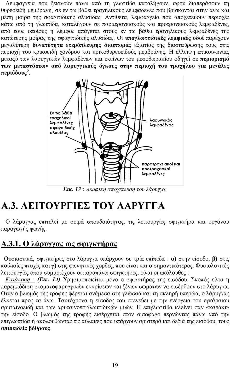 λεμφαδένες της κατώτερης μοίρας της σφαγιτιδικής αλυσίδας.