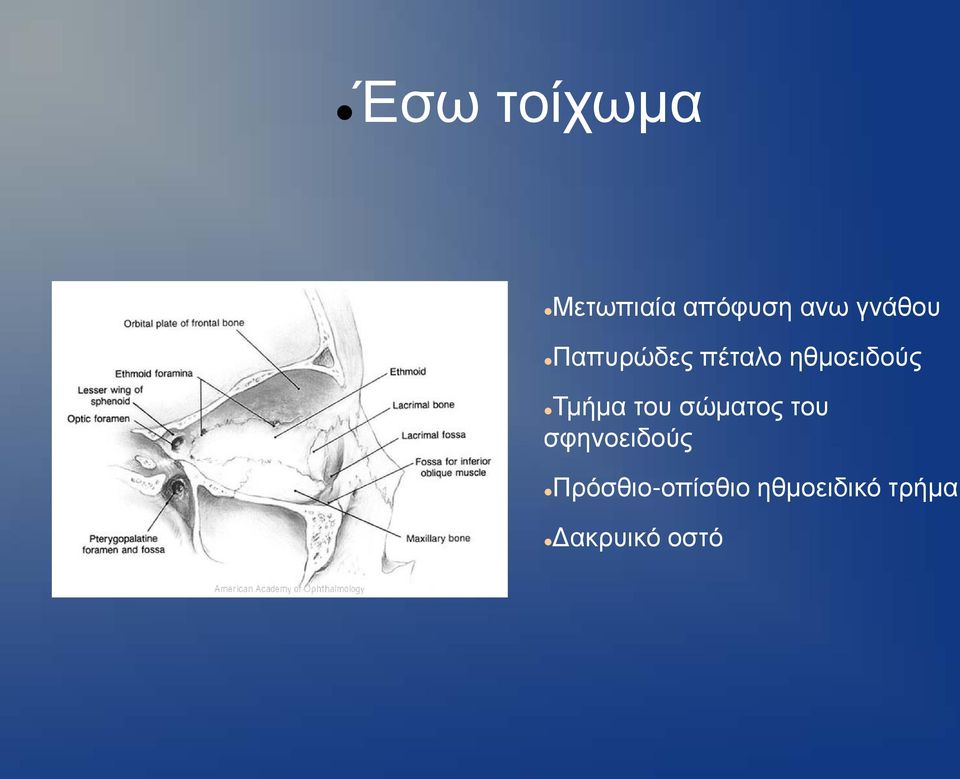 Τμήμα του σώματος του σφηνοειδούς