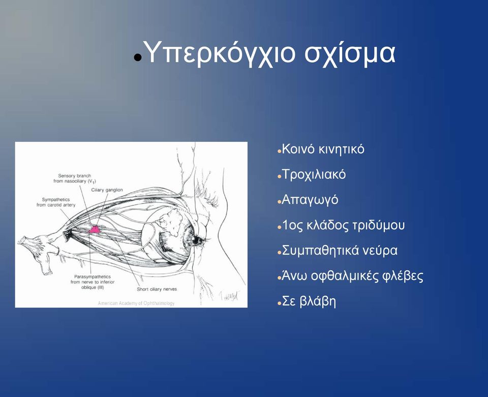 1ος κλάδος τριδύμου